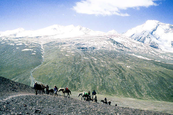 Horseback pack trip and trail Ladakh