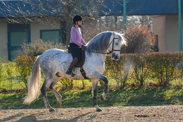 Horseback rider on a dressage lesson in Andalucia, Spain