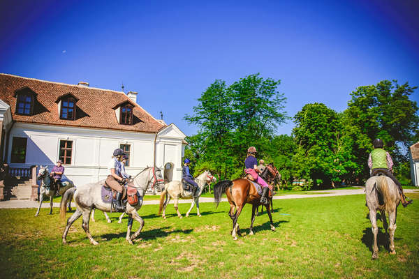 Horseback riders in Romania