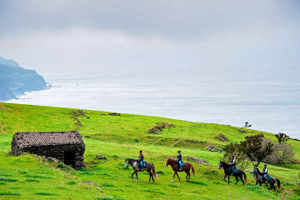 Horseback riders on a green meadow in the Azores