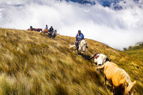 Horseback riders riding in the Andes in Ecuador