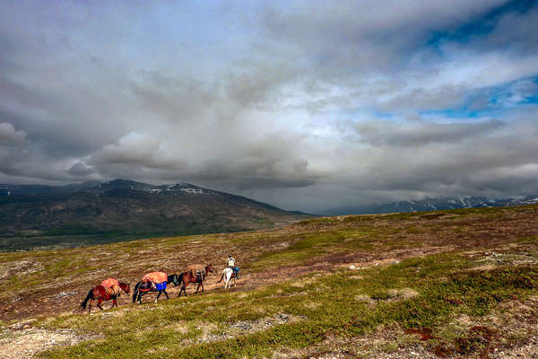 Horseback riders riding in the Yukon territory of Canada