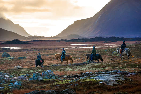 Horseback riders riding out at the golden hour in Norway