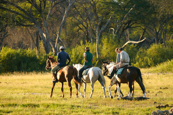 Horseback riding in Hwange, Zimbabwe