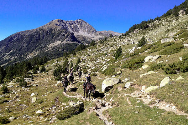 Horseback riding in the pyrenees mountains