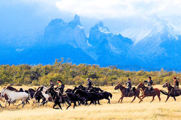 Horseback trail and horse drive in Chile 
