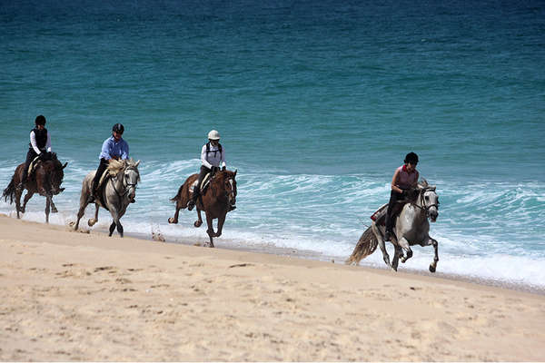 Horseback trail on the portuguese beach