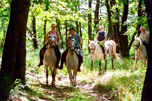 Horseback trail ride in Romania