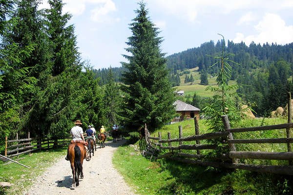 Horseback trail ride in Transylvania, Romania