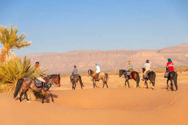 Horseriding holiday in the Sahara, Morocco