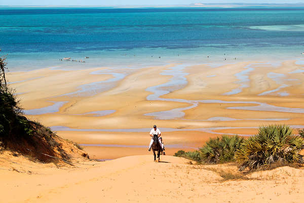 Horses and dunes in Mozambique