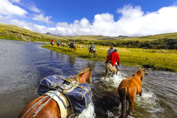 Horses and riders crossing a river in the Andes