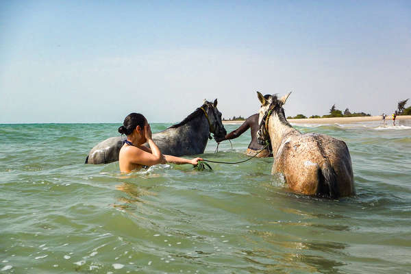 Horses and riders enjoying a swim in the Atlantic