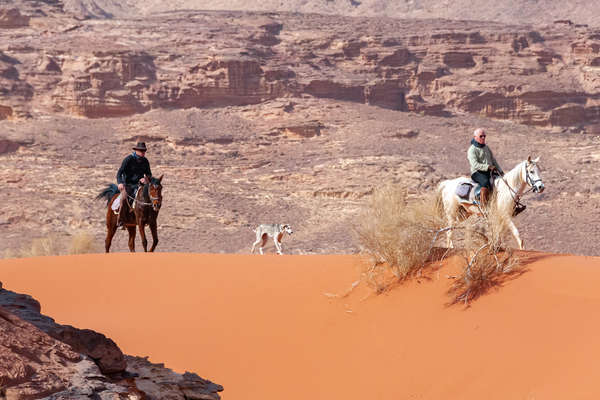 Horses and riders on trail in the Wadi Rum desert
