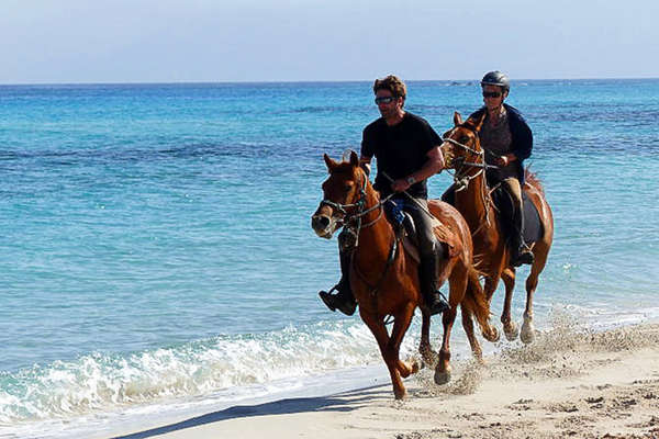 Horses cantering on the french atlantic coast