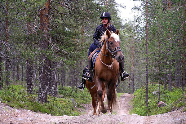 Lapland summer riding trail