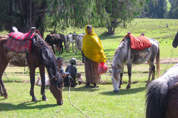 Locals helping with horses on a trail riding holiday in Ethiopia
