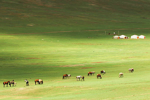 Mongolia and riders