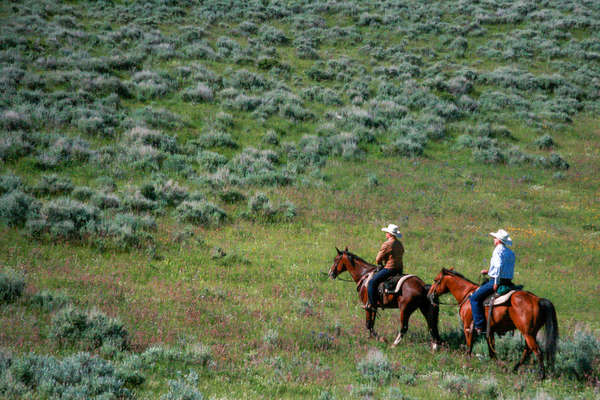 Montana ranchers on a trail