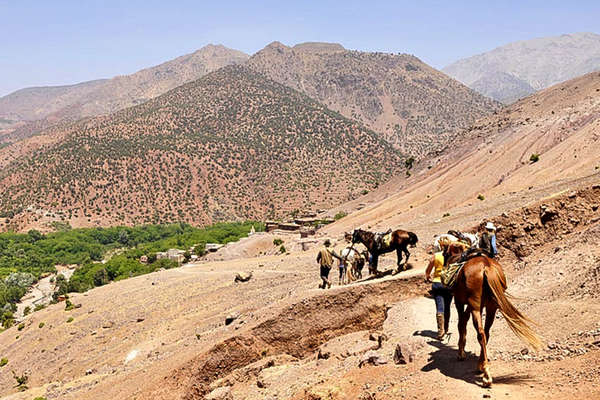Morocco and horses in the high atlas