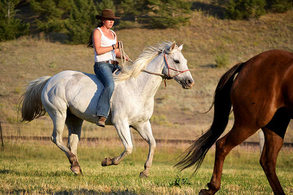 Natural horsemanship guest ranch in Montana  