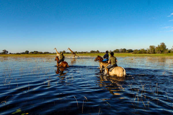 Okavango riding safari in Botswana