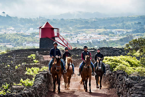 On horseback in Azores