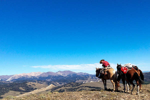 Pack trip on horseback in Southern America