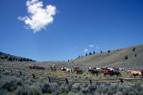 Ranch stay with horse drive in Idaho USA
