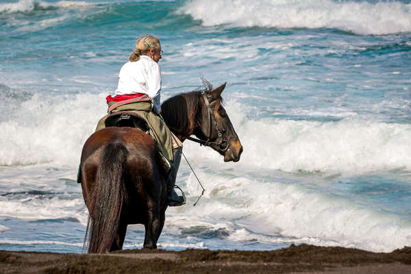 Rider and horse relaxing on a holiday in the Azores