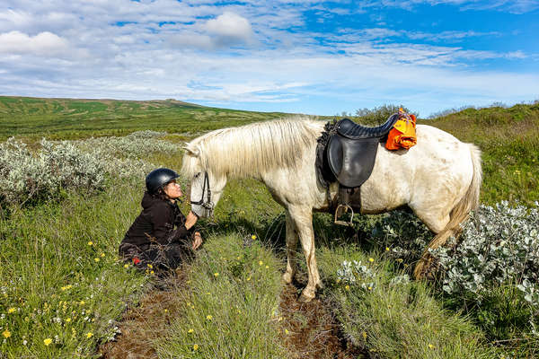 Rider and Icelandic horse enjoying a break during a trail riding holiday