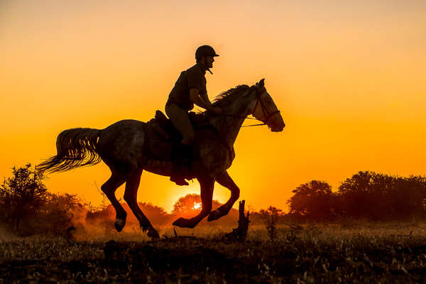 Rider cantering at sunset in Africa