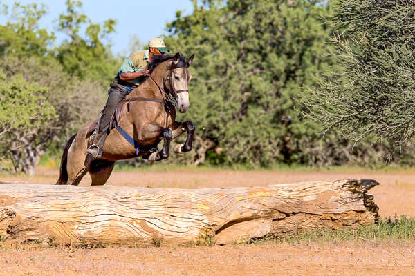 Rider jumping a log in Botswana