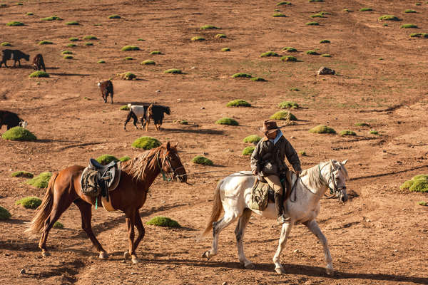 Rider leading a horse in a valley in the Atlas mountains