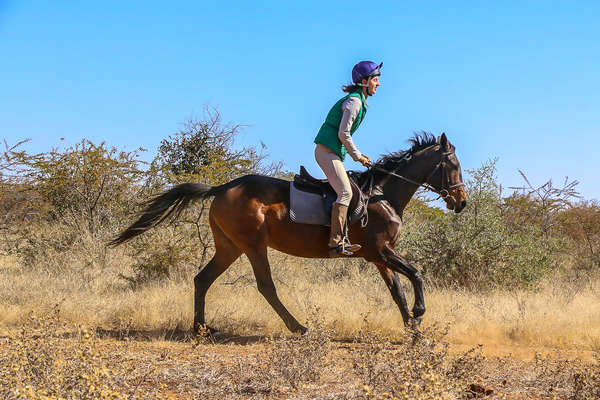 Rider on a horse safari in Africa