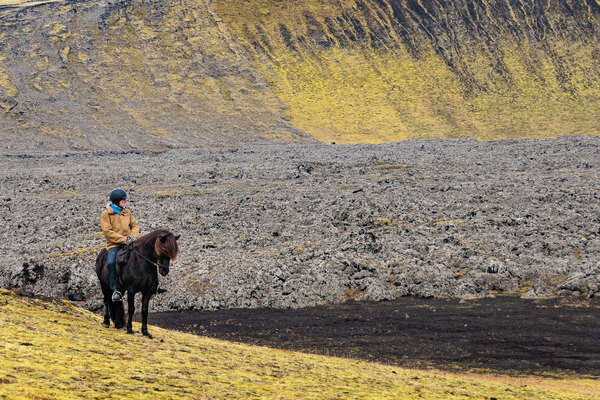 Rider on an icelandic horse in iceland