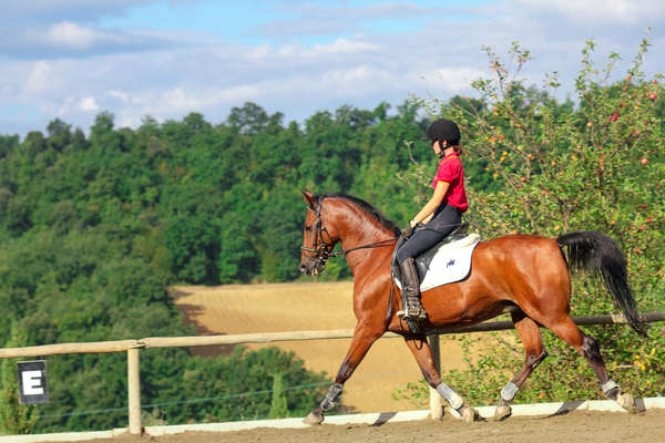 Rider riding a dressage horse in italy