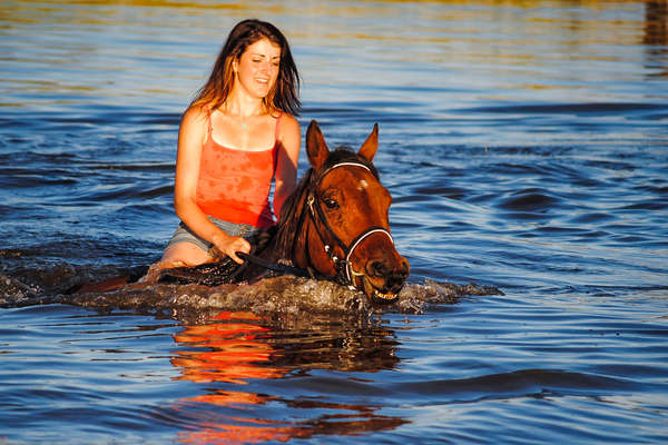 Rider swimming in a lake with a horse in South Africa