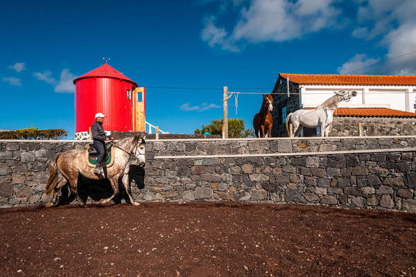 RIder training a horse in Cedros, Azores