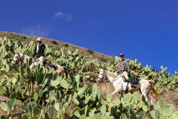 Riders and cactii in Morocco