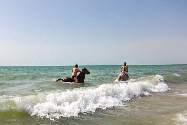 Riders and horses playing in the waves in Senegal