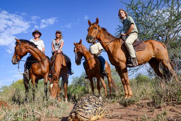 Riders and horses posing with a tortoise