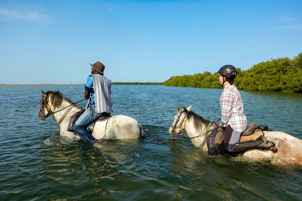 Riders and horses walking in water