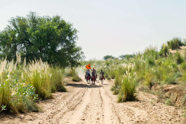 Riders cantering down a sandy track in India