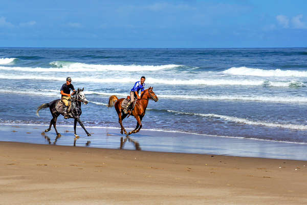 Riders cantering on a beautiful beach, Morocco