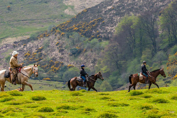 Riders enjoying a trail ride in Dartmoor, UK