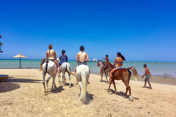 Riders going into the sea on horseback, Read Sea