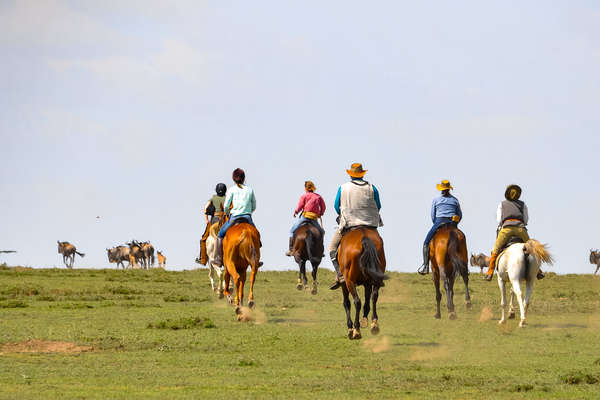 Riders heading towards antelopes in Tanzania