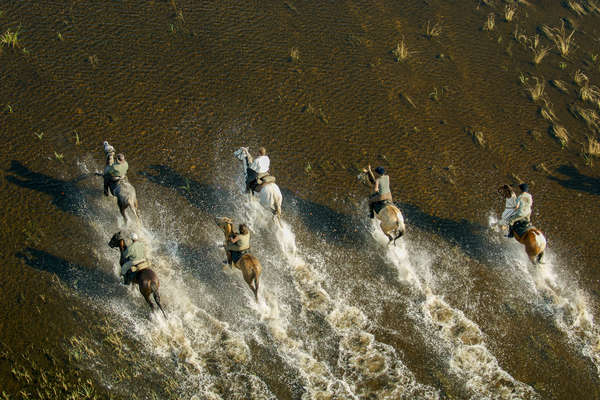 Riders in the floodplains of the Okavango Delta