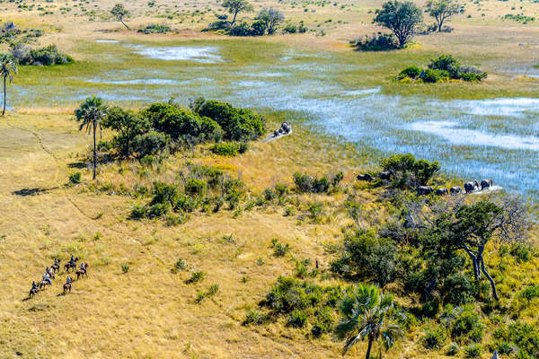 Riders in the Okavango Delta, Botswana